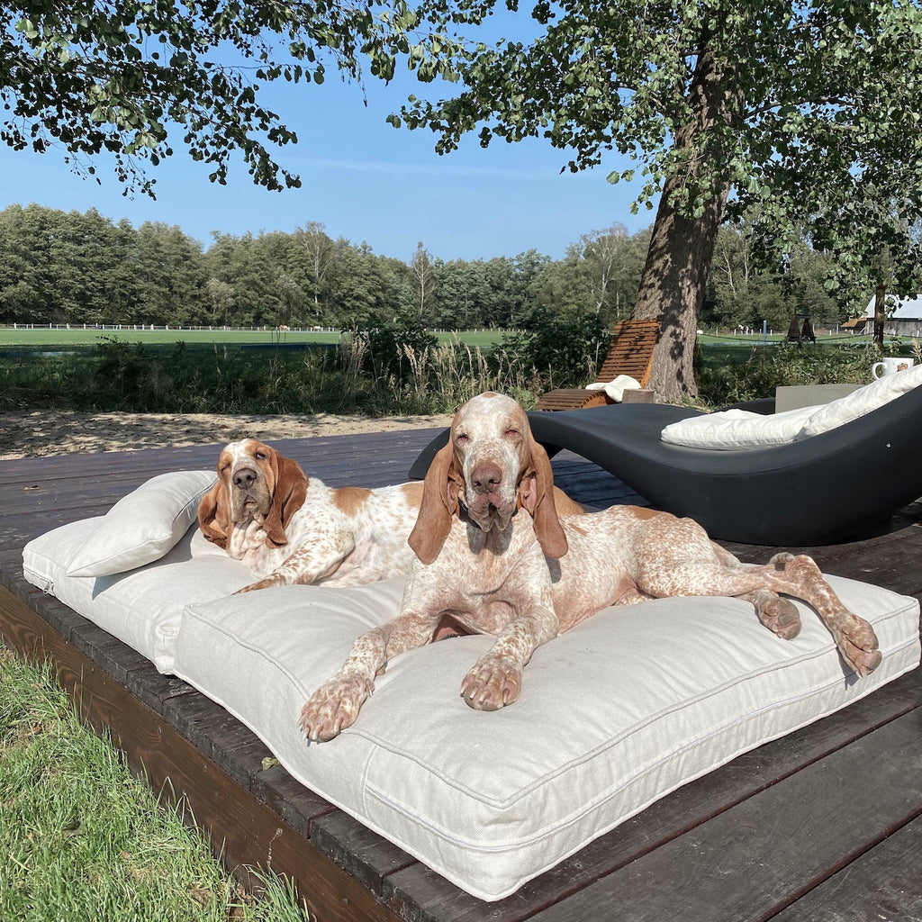 SET Handmade dog bed + cushion filled with 100% alpaca fibre