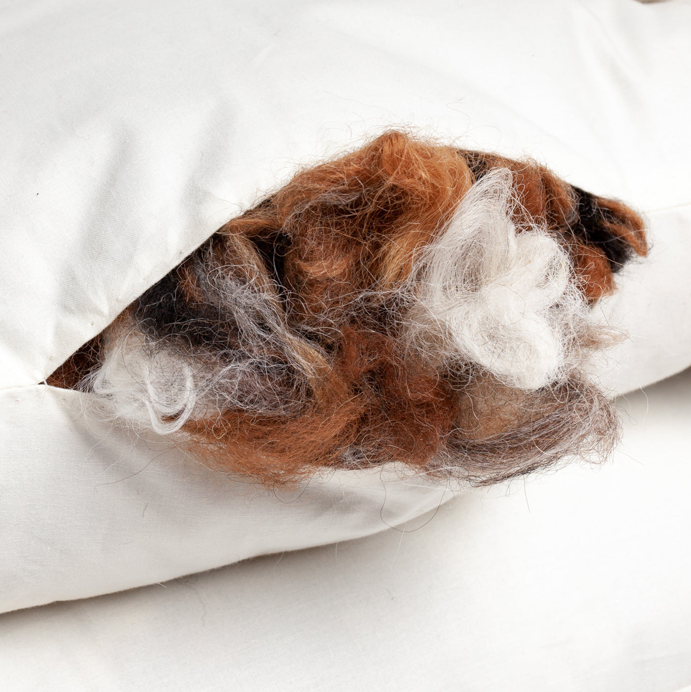 Dog cushion filled with 100% alpaca fibre